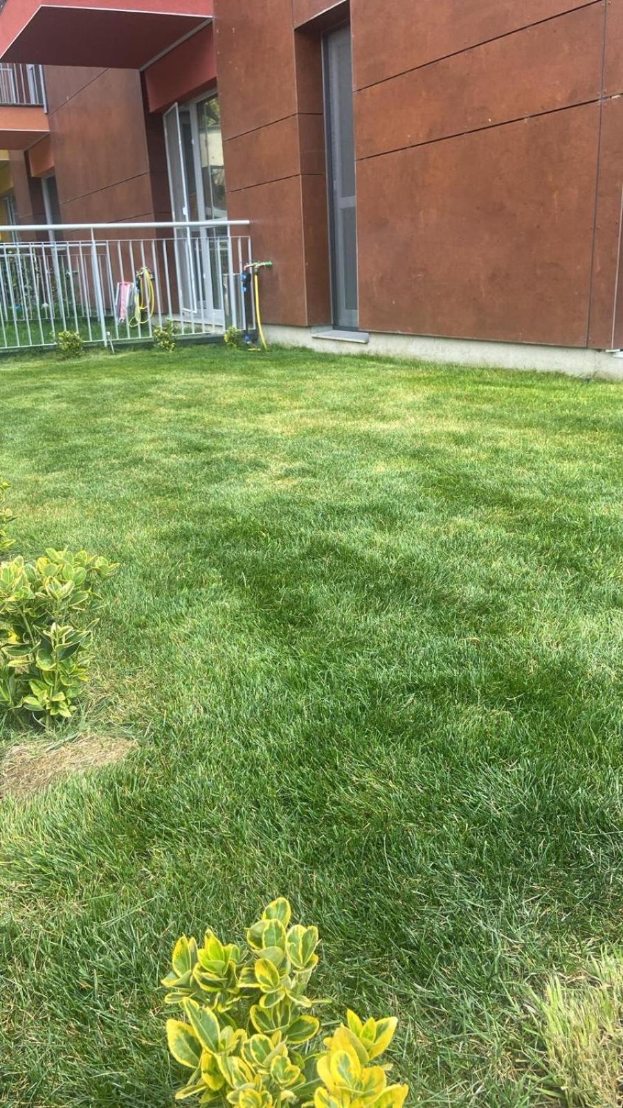 Dream Garden Apartment With Free Parking Sinaia Buitenkant foto